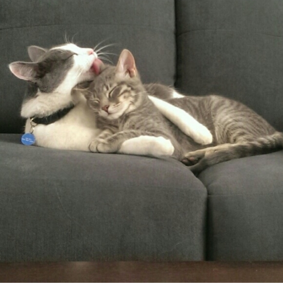 Welcome to my closet - Picture 2 of 3